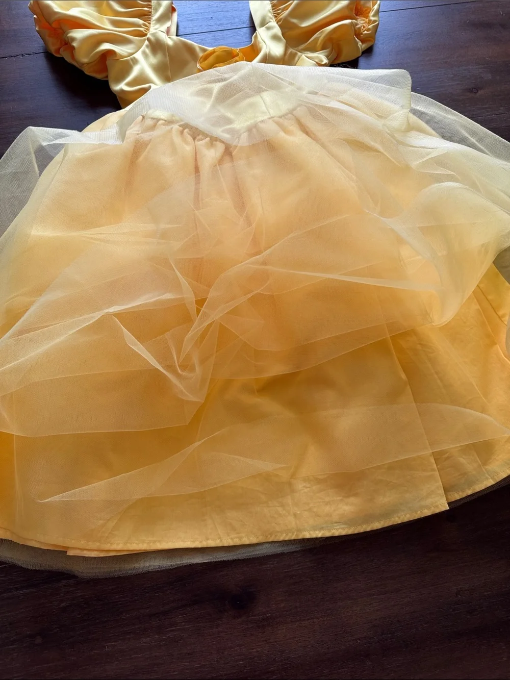 NWOT Sz 10 Disney X Janie and Jack Princess Belle tulle dress Beauty & the Beast